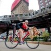 "Working Mom" / Dina Bair / Triathelete